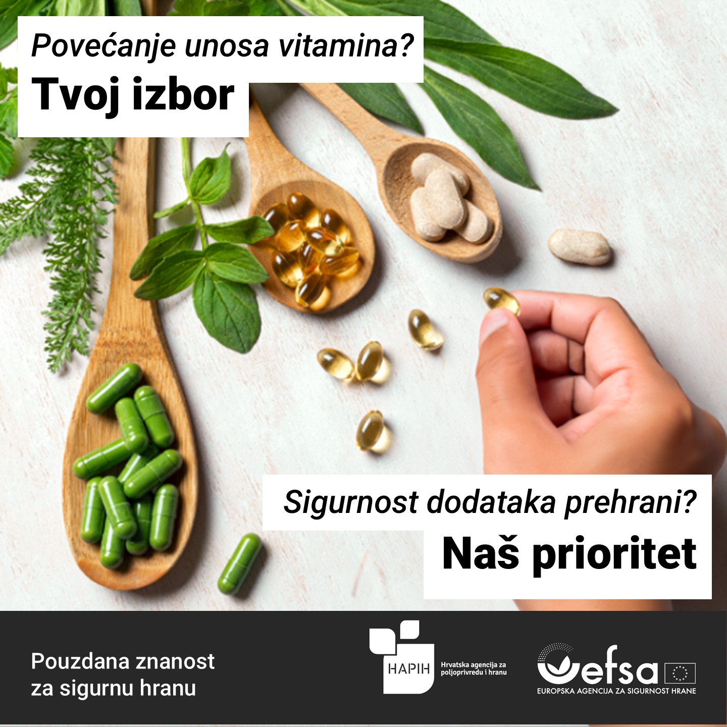Safe2eat 2025