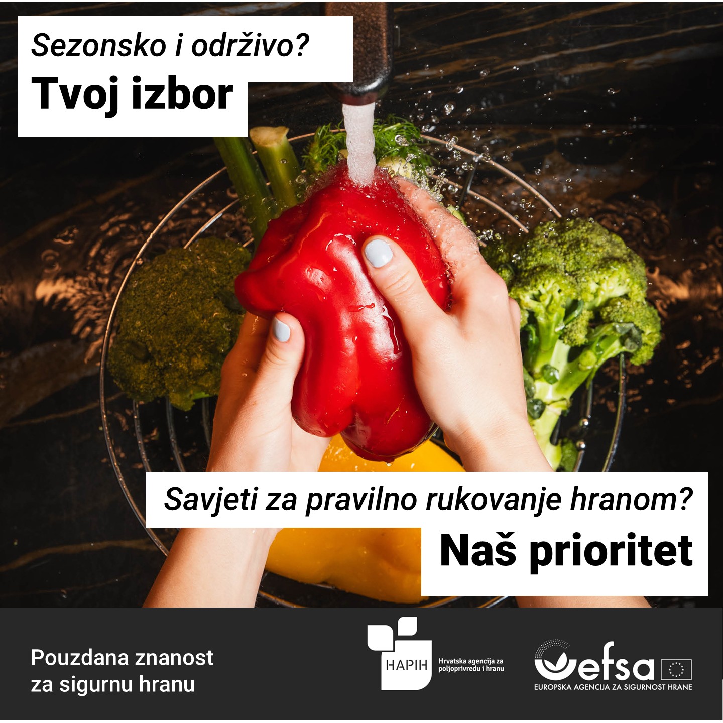 Safe2eat 2025