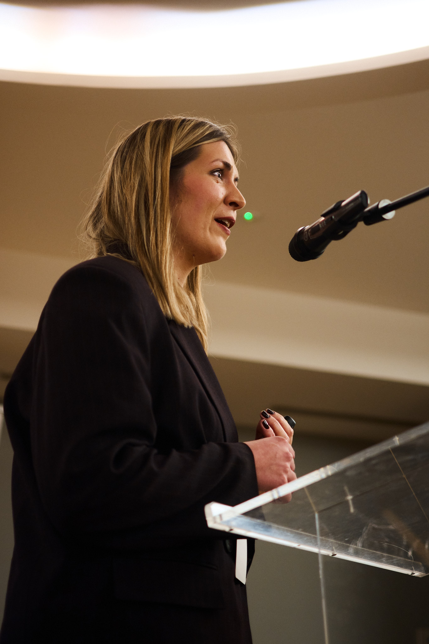 Mi(Ne)Ovi_MiS_1_8Predavač