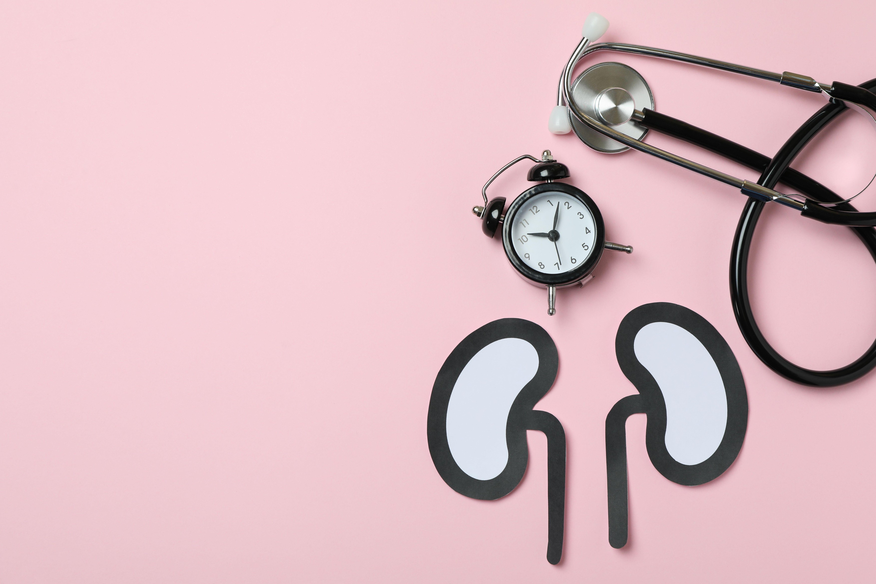 Svjetski dan bubrega