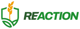 Reaction