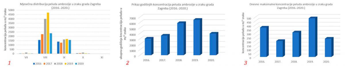 Ambrozija grafikon 1