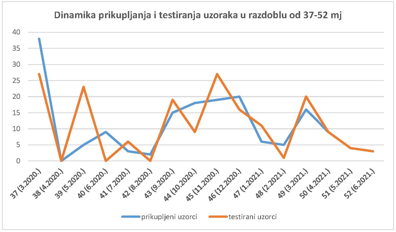 Dinamika prikupljanja i testiranja uzoraka u razdoblu od 37-52 mj