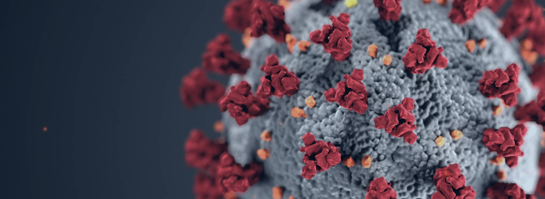 Koronavirus