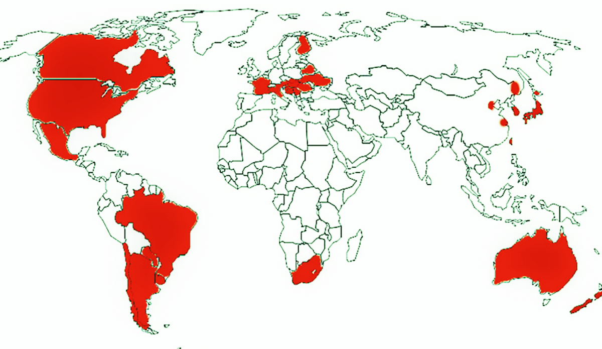 Rasprostranjenost vrste ambrozija širom svijeta