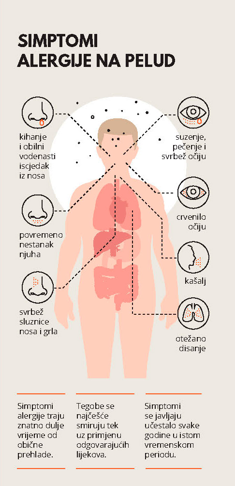 Simptomi alergije na pelud