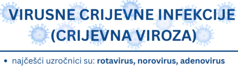 Virusne crijevne infekcije (Crijevna viroza)