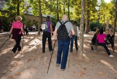 Nacionalni dan hodanja